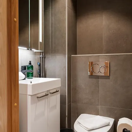 Le Lingonberry D28 Ski-in Ski-out By Aavalevi Appartement Levi